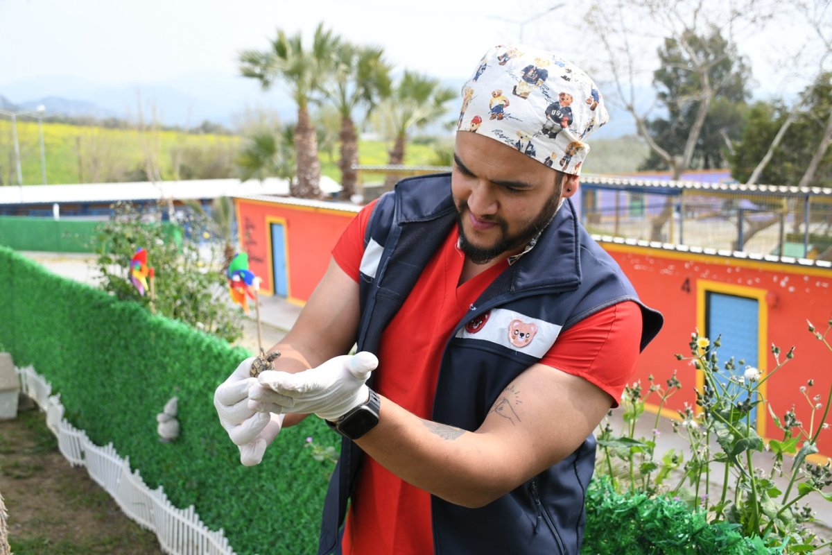 EVCİL HAYVAN BAKIM VE REHABİLASYON MERKEZİ’NİN YENİ SAKİNLERİ İÇİN ÖZEL YAŞAM ALANI