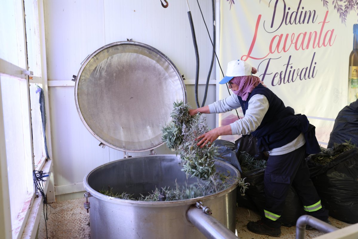 DİDİM BELEDİYESİ’NDEN 'ÜRETEN BELEDİYECİLİK' UYGULAMASI