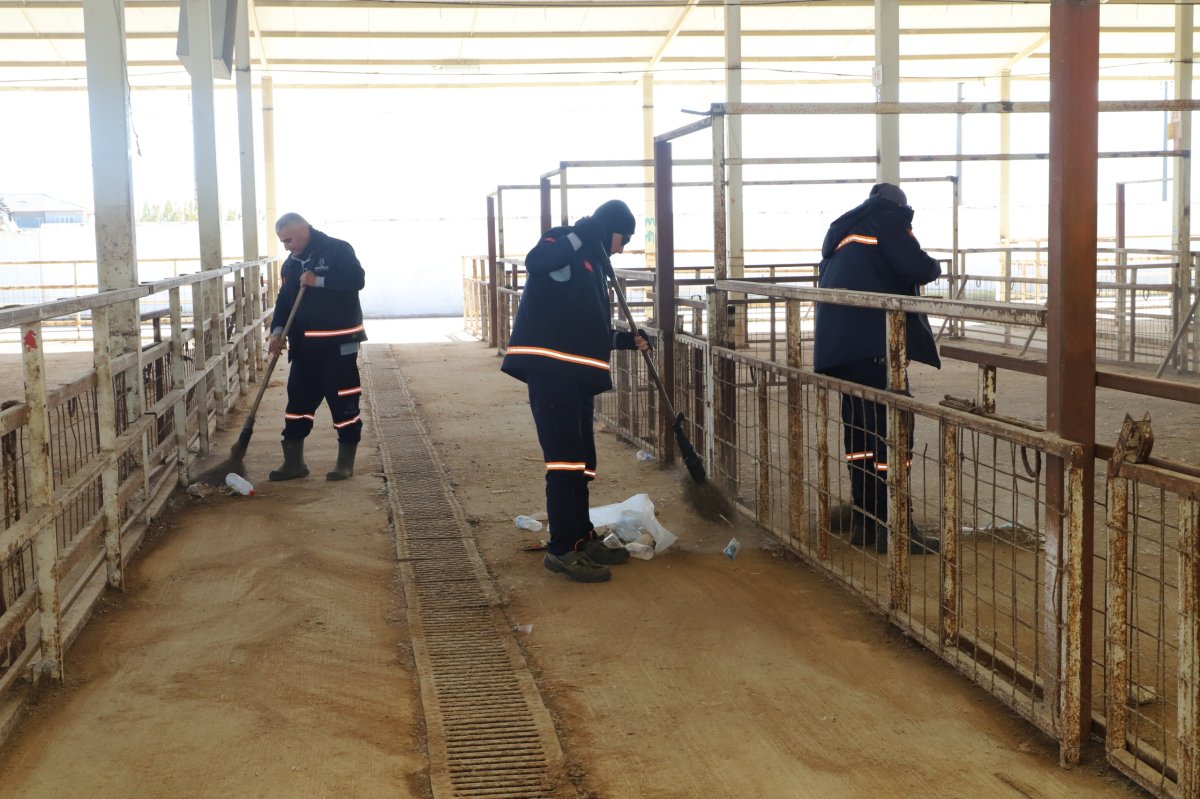 NAZİLLİ BELEDİYESİ HAYVAN PAZARINI 7 AY SONRA YENİDEN AÇIYOR.