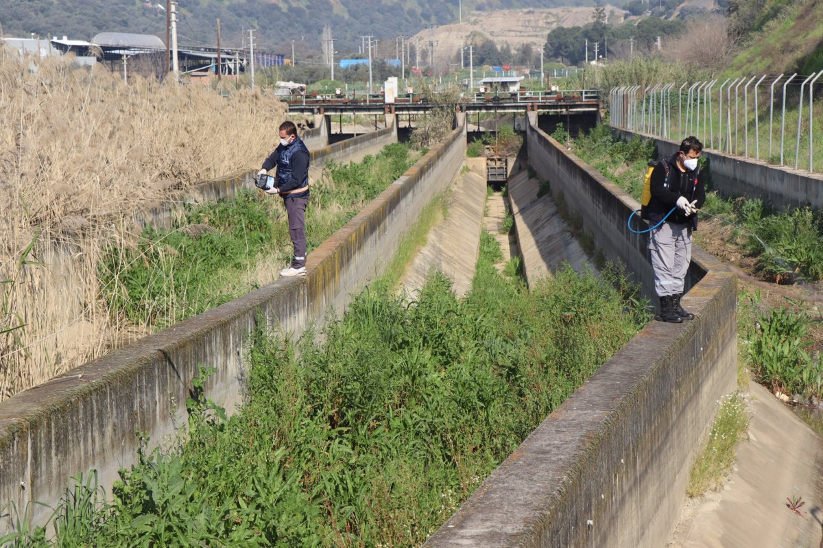 NAZİLLİ BELEDİYESİ SİVRİSİNEK VE HAŞEREYLE MÜCADELEYE KESİNTİSİZ DEVAM EDİYOR.