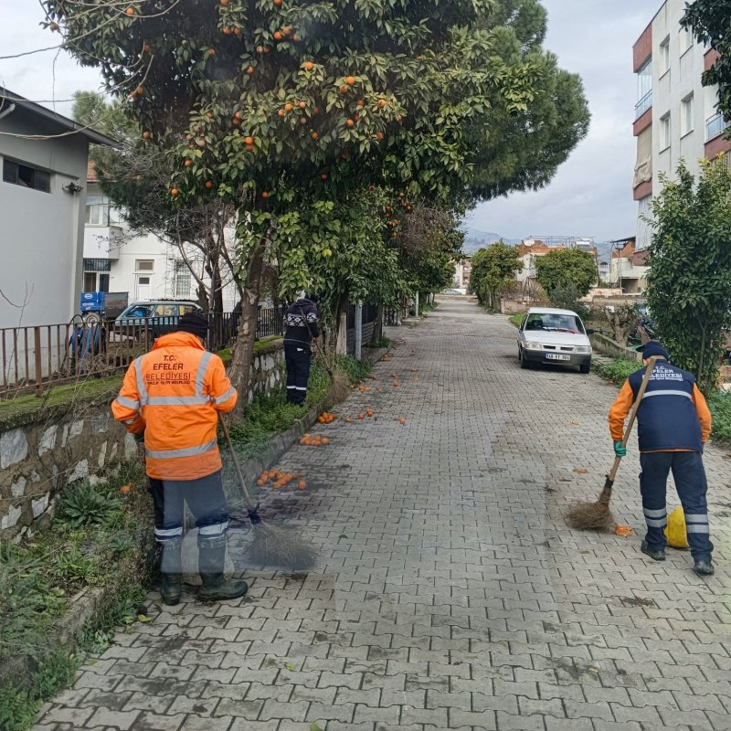EFELER BELEDİYESİ’NDEN UMURLU'DA KAPSAMLI TEMİZLİK...