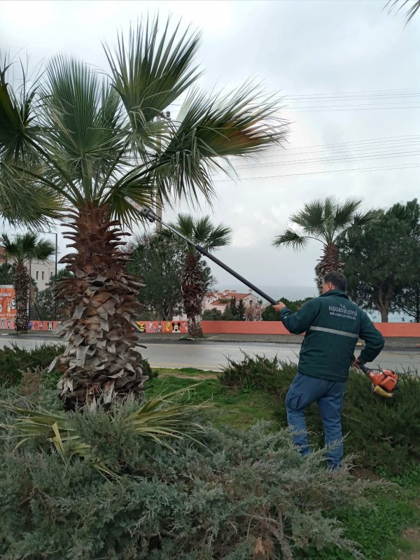 KUŞADASI BELEDİYESİ DAHA TEMİZ VE DAHA YEŞİL BİR KENT İÇİN ÇALIŞIYOR