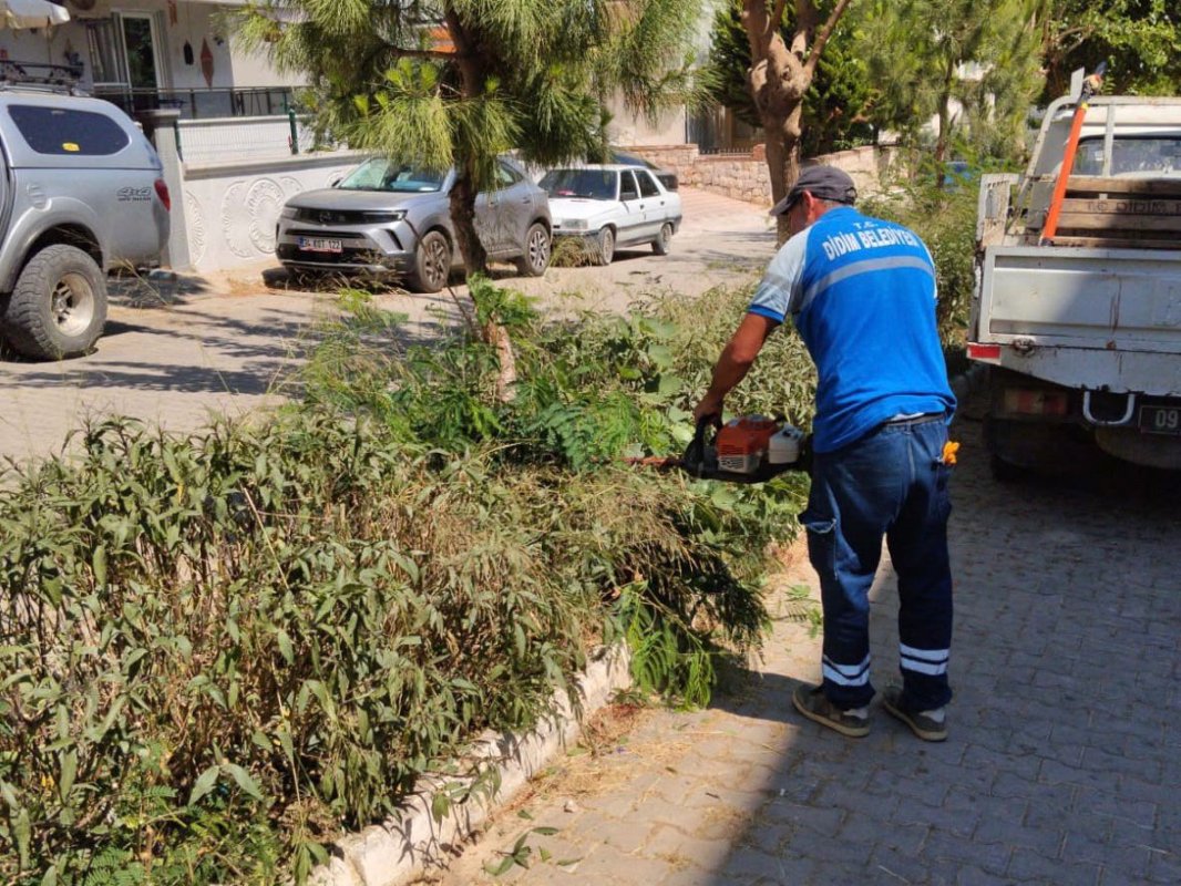 DİDİM BELEDİYESİ YEŞİL ALANLARDA BAKIM ÇALIŞMALARINI SÜRDÜRÜYOR..