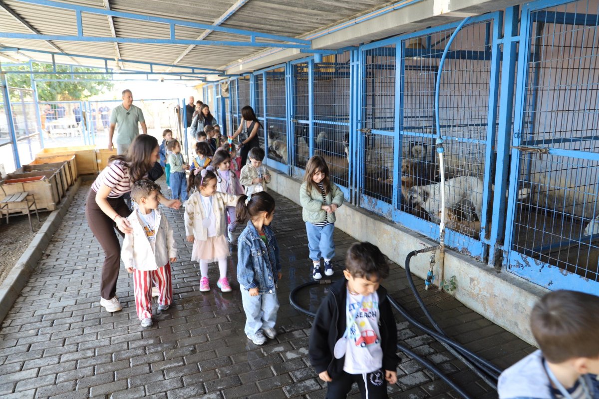 NAZİLLİLİ MİNİKLERDEN CAN DOSTLARA ZİYARET..