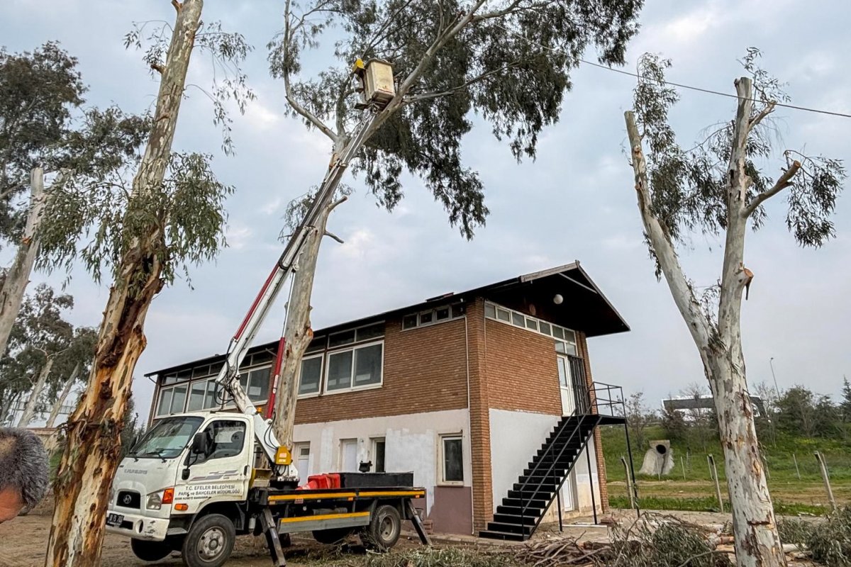 EFELER BELEDİYESİ TEPECİK MESİRE ALANINI  YENİLİYOR.